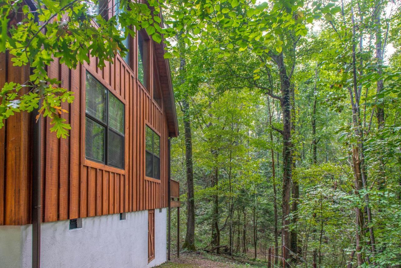 Friendly Bear Cabin ピジョンフォージ エクステリア 写真